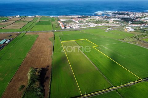 Identificação do imóvel: ZMPT553778 Set of 3 contiguous plots, with total area of 30.480 m ... , respectively), sold together as a single plot. Located near the Rabopeixense Cooperative consisting of single-family homes, there is for the same Previou...