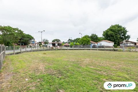 Large non-constructible plot of 1100 m2 near the city center of Léon Close to the Atlantic Ocean 30 minutes west of Dax, the village of Léon enjoys an ideal geographical location to explore the territory of the Landes and the Atlantic Coast. With its...