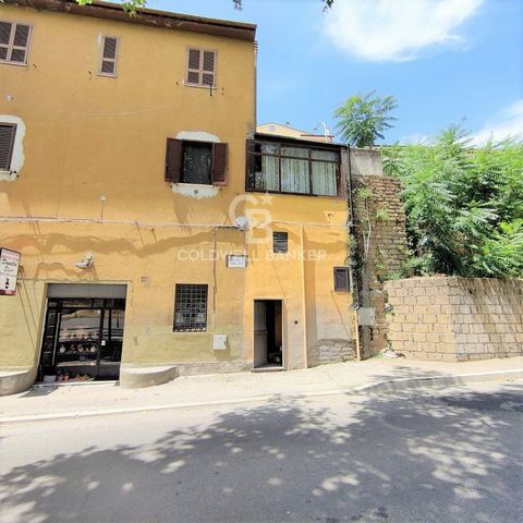 LAZIO - VITERBO - TUSCANIA Just outside the walls of Tuscania, a charming ground floor apartment with independent entrance, with a commercial area of 100 m2 plus an external paved area of 10 m2 and 3 warehouses/storerooms with a total area of approxi...
