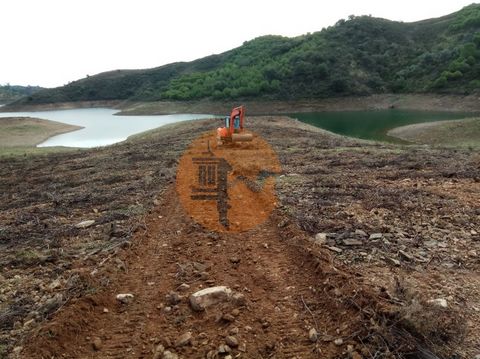 Rustikales Grundstück mit 7880 m2 zum Verkauf neben dem Bunk Dam - In der Nähe des Dorfes Corte do Gago. Meistens flaches Land, neben dem Bunk Dam. Es grenzt an den Damm und ein Wasserbett. Ausgezeichnete Sonneneinstrahlung. Etwa 30 Minuten von den b...