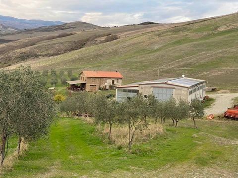 ABBADIA SAN SALVATORE (SI): 53 Ha olive-growing farm composed of : * 10 Ha of specialised irrigated olive grove with drip system, quality leccino, moraiolo and olivastra seggianese; * 43 Ha of hillside arable land with pac shares; * 300 sqm farmhouse...
