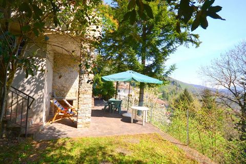 Cette jolie maison de vacances se situe dans un village ancien construit sur une colline et elle n'est accessible que par des escaliers caractéristiques et de petites ruelles. Le village se trouve au milieu des Alpes apuanes et près des villes cultur...
