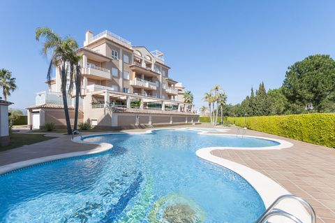 Cozy apartment for 2 to 4 persons, with a communitary pool, in Oliva Nova, in front of the golf course and at only 1 km from the beach. The communitary chlorine pool is available throughout the whole year (though not heated). The pool measures 20m x ...