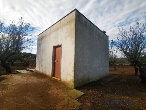 For sale an interesting 'lamia' type building in the countryside of Carovigno, the City of Nzegna, located in an excellent position, with an easy access road and only 2 km from the town centre. The property is in excellent structural condition and co...