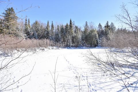 Do you like silence and are tired of traffic? Here is for you a magnificent lot of 1.41 acres on the banks of the Little Red River. It is flat and wooded, easy to get to in a quiet street with hydro nearby. Build your dream home or cottage in the cou...