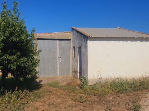 Estate located next to Benissanet Its completely flat It has electricity and well water The land is 4297 m2 of peach trees There is a warehouse which is approximately 80 m2 Its close to the river