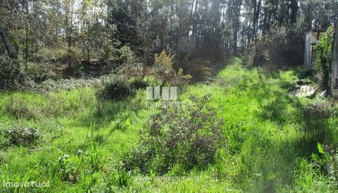 Land for sale, with area 790 m2, possibility of construction, excellent access. Situated 20 minutes from the city of Porto. Melres, Gondomar. Ref.: MC07579 FEATURES: Land Area: 790 m2 Area: 790 m2 Used Area: 790 m2 Energy Efficiency: Exempt ENTREPORT...