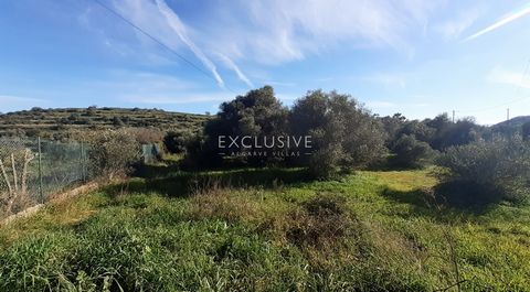 Plot of land on the neighborhood of a village, with almost 1 hectare, with the possibility of building 290 m2 or 580 m2, with various utilities and options. The allowed construction is a villa, two villas, commercial or services. It benefits from a t...