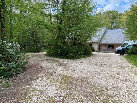 Summary The Setting: Our house is located in the commune of Plessé, in the heart of a wooded estate. This 300-hectare forest is bordered by the Nantes to Brest canal and includes a 19th-century chapel and leisure facilities available to co-owners of ...