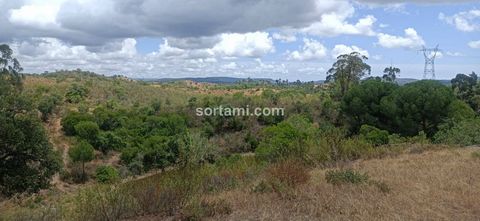 Grande terreno rustico in vendita, a São Bartolomeu de Messines. Questo terreno si trova in una zona molto piacevole, con splendida vista sulle montagne. Il terreno ha una superficie di 1962 mq, con accesso tramite strada sterrata al terreno. Situato...