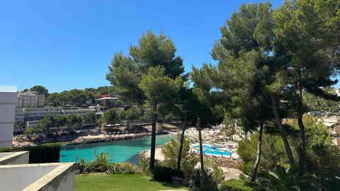 Immobilien Mallorca: Dieses modernisierte Apartment bietet direkten Meerzugang von der Wohnanlage aus und befindet sich in 1. Linie in Cala Vinyes, im Südwesten von Mallorca.Das charmante Apartment bietet eine bebaute Fläche von ca. 70 m2, eine überd...