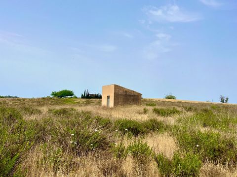 Wij stellen je voor! Finca Son Bou - Vilafranca de Bonany. Oppervlakte: 14206 m2 De prijs is inclusief het basisplan. U kunt een geïsoleerd vrijstaand huis bouwen met een garage en een zwembad. Volgens het bestaande plan heeft het huis 4 slaapkamers,...