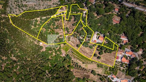 Ces incroyables 7 terrains à bâtir pour le développement de logements, répartis sur 2,5 ha au cœur de la montagne de Monchique et vendus en commun, offrent de belles vues sur la campagne et une bonne exposition au soleil. La ville de Monchique, avec ...