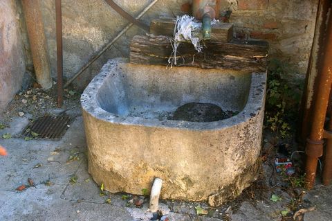 photo no. 2