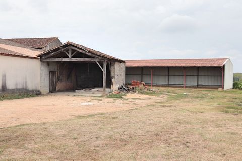 photo no. 16