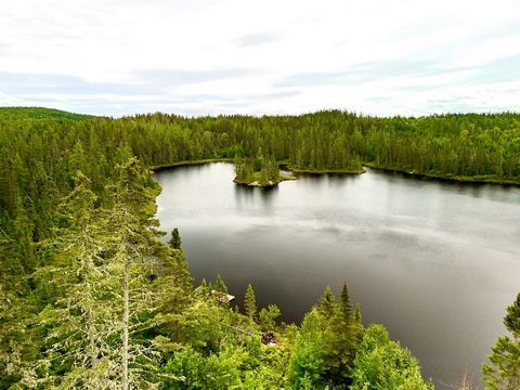 Superbe terrain de prestige bordé par le Lac Merlac de plus de 1 901 629 pieds carrés, anciennement le Lac-des-Racines. À dix minutes de Chicoutimi. Idéal pour la personne qui désire construire un domaine ou pour le contracteur qui désire subdiviser!...