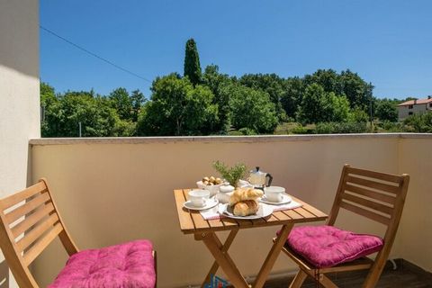 Die Villa Madonnina befindet sich in einem kleinen Dorf Manjadvorci, 20 km von der Stadt Pula entfernt. Es ist 8 km vom ersten Strand Rebici entfernt. Es besteht aus zwei Schlafzimmern, zwei Bädern, Küche und Wohnzimmer. Die Küche ist mit allen notwe...