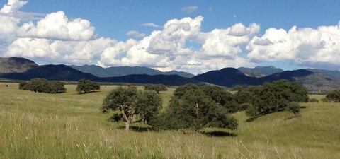 Lazy J2 Ranch Estates are a remarkable option of two rare estate parcels of 430 acres with a charming home and complete ranch facilities bordering the Coronado National Forest or 524 stunning acres also bordering the National Forest. Both parcels hav...