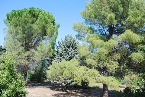 photo no. 18