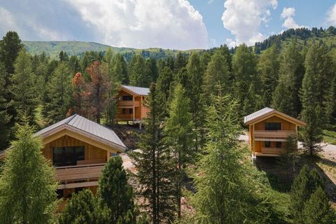 Welkom in de Naturchalets Turracher Höhe, waar alpine charme en modern comfort samenkomen. Het indrukwekkende massief houten chalet biedt een luxe toevluchtsoord voor maximaal 8 personen op 135 m² en drie uitnodigende verdiepingen. De Turracher Höhe ...