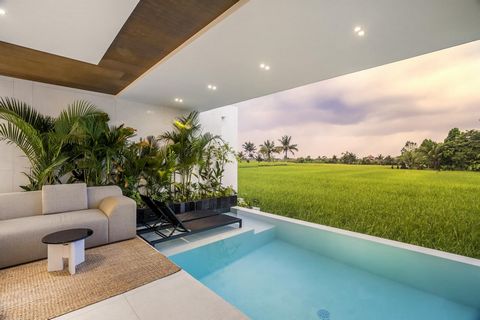 Villa in Ubud ansehen. Amortisation der Villa in 5,5 - 8 Jahren. Die Villenanlage ist bereits seit mehr als einem Jahr vermietet. Die Rentabilität liegt derzeit bei etwa 15 % pro Jahr, die Auslastung liegt bei mehr als 85 %. Pacht - 29 Jahre alt. VIL...