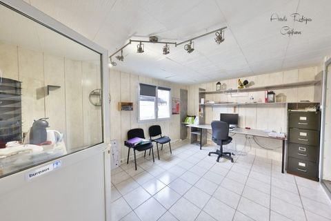 photo no. 2