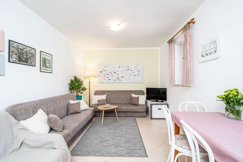 Apartments Lion are located in Zaton, a quiet coastal village 15 minutes away from historic Dubrovnik with intact beauty, rich vegetation and beautiful beaches. Property offers five accommodation units with a shared terrace. Guests are welcome to use...