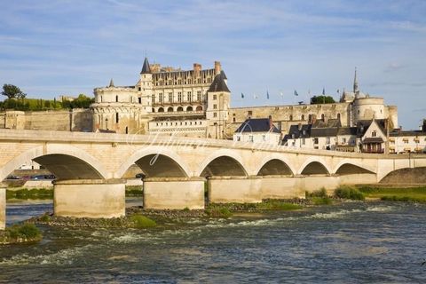 Activité gîtes, chambres d'hôtes, salle de réception idéal petit hôtel de charme, plein ceur d'Amboise RARE à saisir, à vendre manoir entièrement restauré, divisé en plusieurs appartements. Aujourd'hui entièrement meublé et loué en location meublée, ...