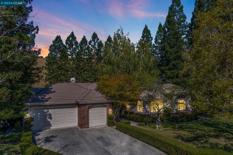 Welcome to 3353 Deer Hollow Drive! This exquisite single-story residence boasts nearly 3,800 sqft. of living space, providing the perfect canvas for your personal vision. Nestled on nearly half an acre of lush grounds within the prestigious Blackhawk...