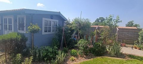 photo no. 11