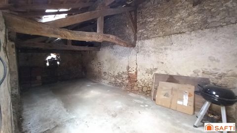 photo no. 12
