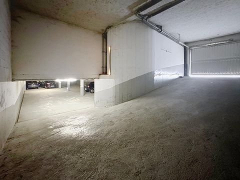 photo no. 9
