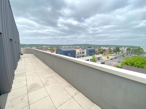photo no. 11
