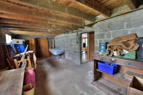 photo no. 5