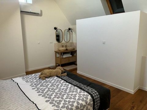 photo no. 19