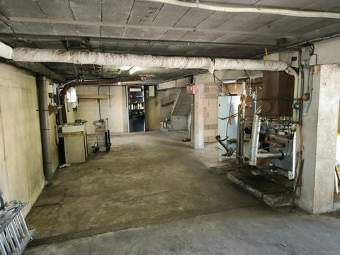 photo no. 5