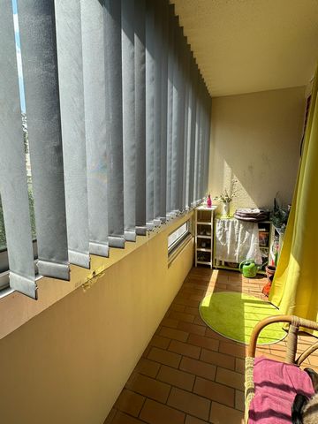 photo no. 9