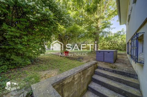 photo no. 13