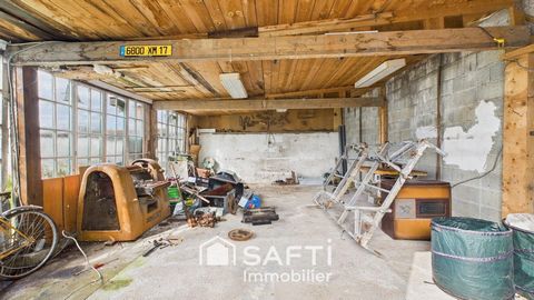 photo no. 14