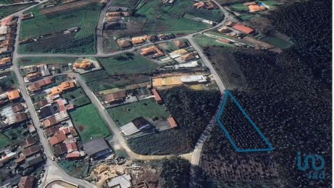 Terreno urbano para venda em Aguada de Cima – Águeda Apresenta-se este terreno com 2.447 m² de área total, situado em Aguada de Cima, no concelho de Águeda. Localizado em zona de construção, beneficia da presença de novas edificações nas imediações, ...