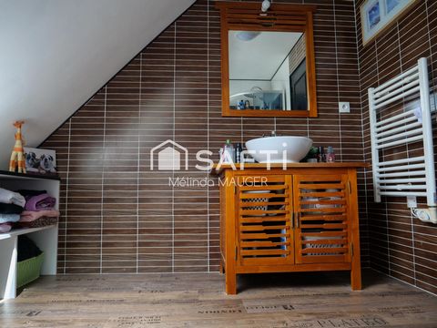 photo no. 7