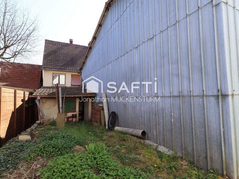 photo no. 18