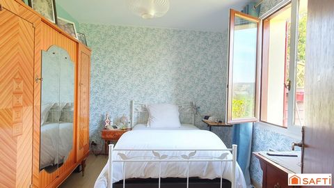 photo no. 11