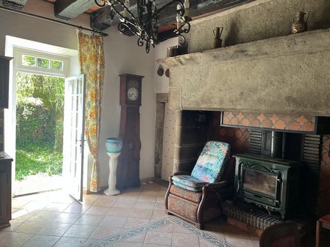 photo no. 15