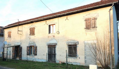 photo no. 12