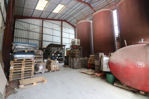 photo no. 9