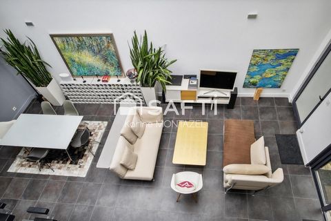photo no. 9