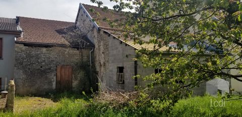 photo no. 1
