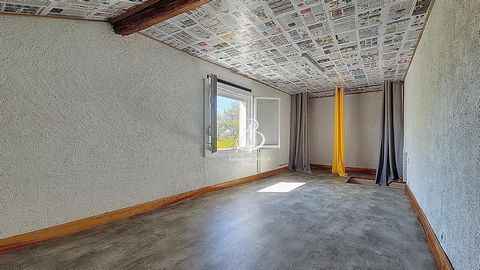 photo no. 17