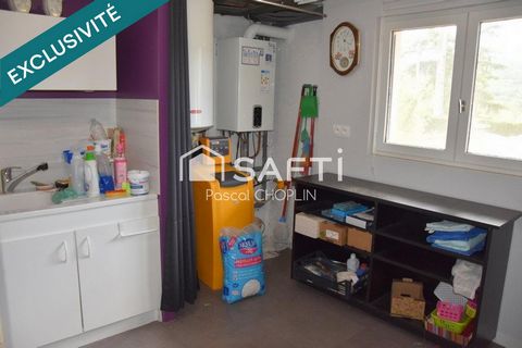 photo no. 14